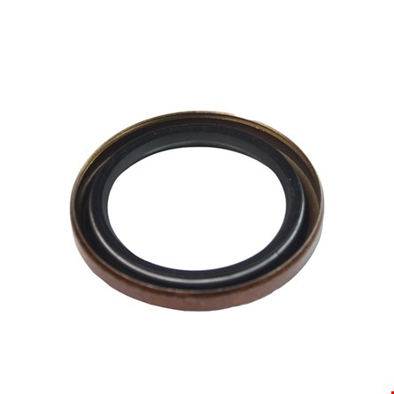 A1205V1556
