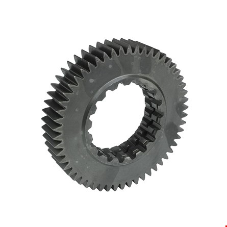 22025