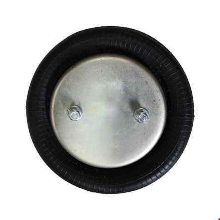 SP556943